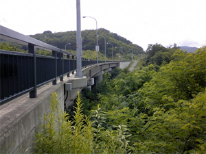 札幌道路事務所管内　橋梁防護柵補修設計業務の写真