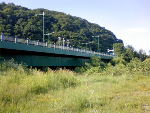 札幌道路事務所管内　橋梁防護柵補修設計業務の写真